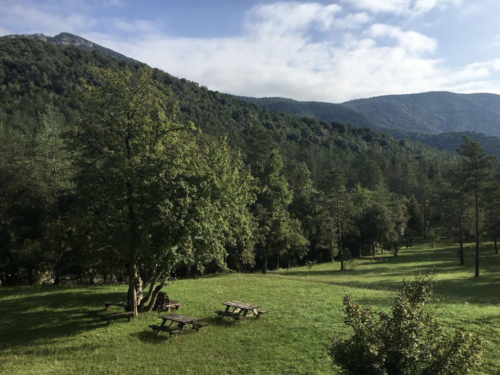 Amalinde-gras